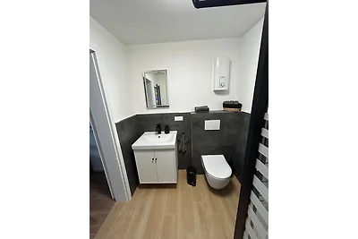 RheinSchatz Apartment 2