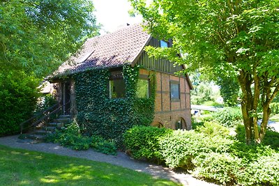 Alte Wassermühle - Schloss Gelting