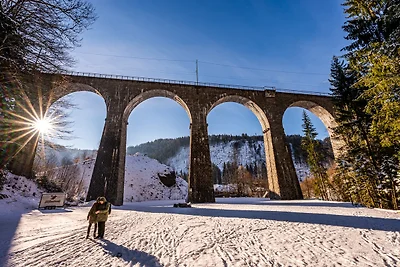 Ferienhaus Dresselbach - Wohnung 04