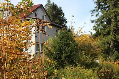 Holiday flat family holiday Goslar