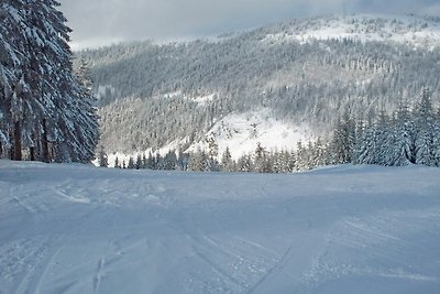 Vakantieappartement Gezinsvakantie Lenzkirch