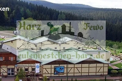 Fewo Eulennestchen-Harz S.1 für
