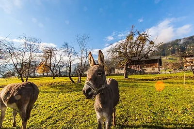 Casa vacanze Vacanza di relax Fügenberg