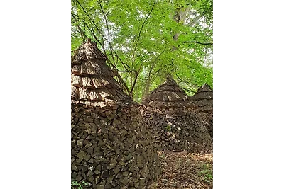 Vakantieappartement Gezinsvakantie Nuthe-Urstromtal