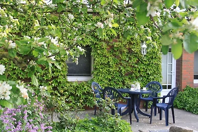 Ferienhof Schoof No.1