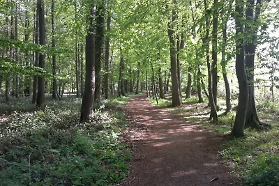 Ponykoppel (adult only bzw ab 16