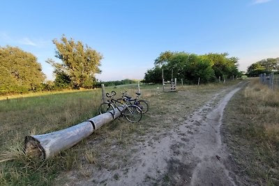 Ferienwohnung Usedom Familie Stopp