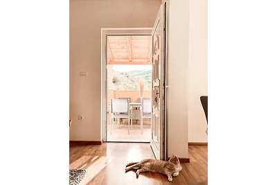 Appartment Neda