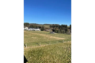 Appartamento Vacanza con famiglia Kirchberg