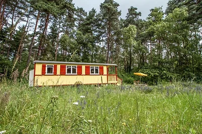 Vakantiehuis Ontspannende vakantie Lychen