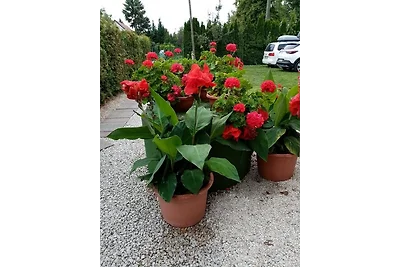 Ferienwohnung mit Pool, Wlan direkt