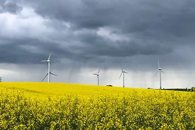 Vakantieappartement Gezinsvakantie Grömitz