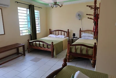 Hostal Dayami Appartement 1