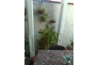 Renta Eduardo Appartement 1