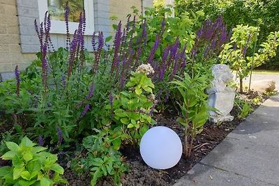 Ferienparadies Seeluft