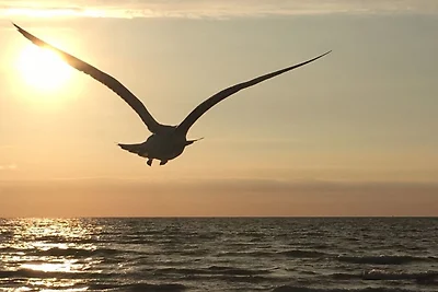 Ferienwohnung Kleine Brise