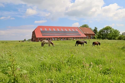 Sömmertied, Exklusive
