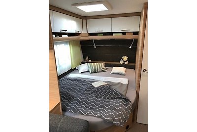 Camper Lodge CL2