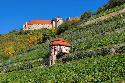 Vakantieappartement Gezinsvakantie Naumburg