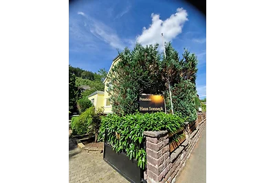 Appartamento Vacanza con famiglia Clausthal-Zellerfeld