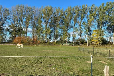 Bungalow "Ankerstube 48" für 4