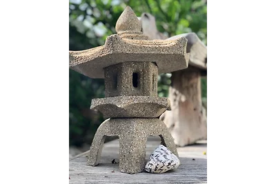 Gecko