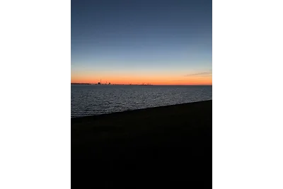 Eckwarderhörne Objekt B 15