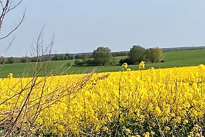 Vakantieappartement Gezinsvakantie Prignitz