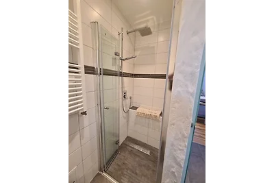 Haus Waldstein Single