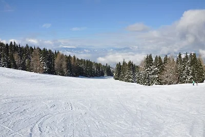 Almrausch-Feriendorf Koralpe