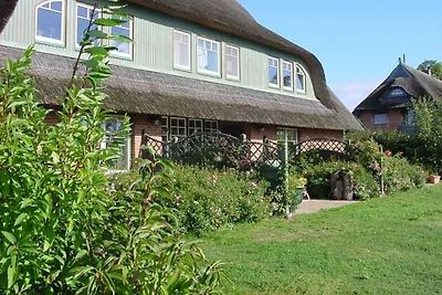 Ferienwohnung Nr. 07 (OG +