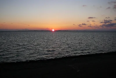 Deichblick