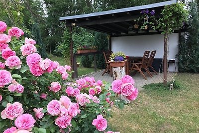 Holiday home relaxing holiday Meisdorf