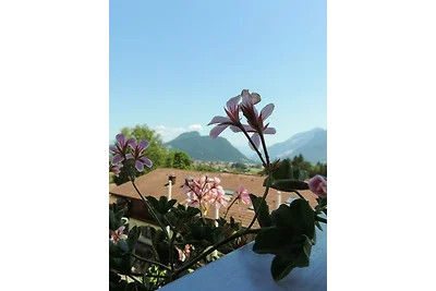 Wildgrün Panorama Lodge 8b