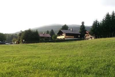 Fewo Bayerischer Wald im Lamer