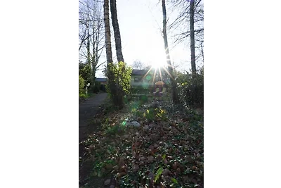 Vakantieappartement Gezinsvakantie Thalfang