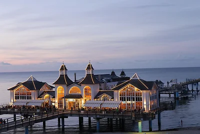 Villa Rosengarten - Ferienwohnung