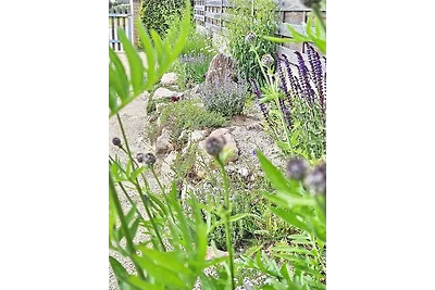 Ferienhaus Sommerwiese - ABC327