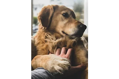 Wildgrün Panorama Lodge 3