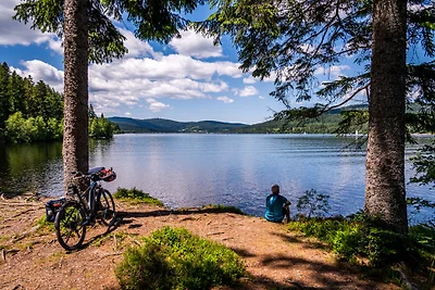 Ferienhaus Dresselbach - Wohnung 01