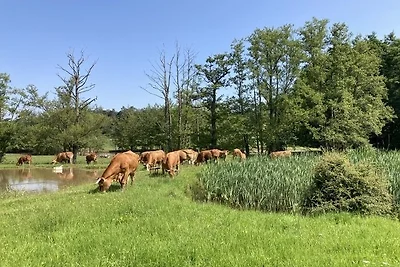 Apartament Dla rodzin Leutershausen