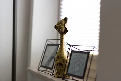 Vakantieappartement Gezinsvakantie Waldbröl