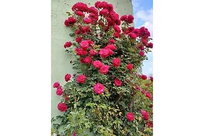 Ferienwohnung "Nina" in Hohen