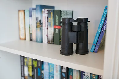 Haus Windjammer Eagle