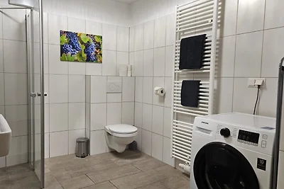 3500: Apartment KREMSTAL / Top 2