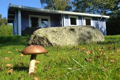 dieSeeSucht® - Lodge am Fjord