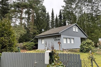 Steinhuder Meer Ferienhaus