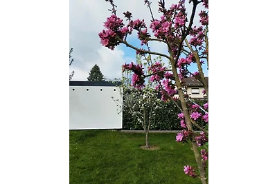 Ferienhaus / Ferienwohnung