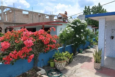 Hostal Ramon y Norma Appartement 1
