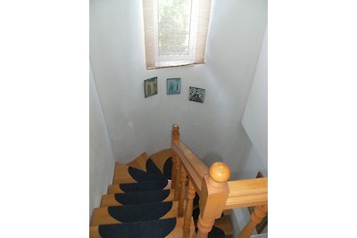 Ferienhaus Nr. 2B